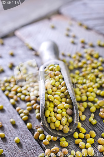 Image of mung beans