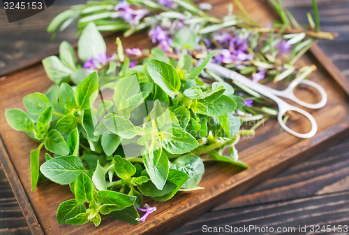 Image of aroma herbs