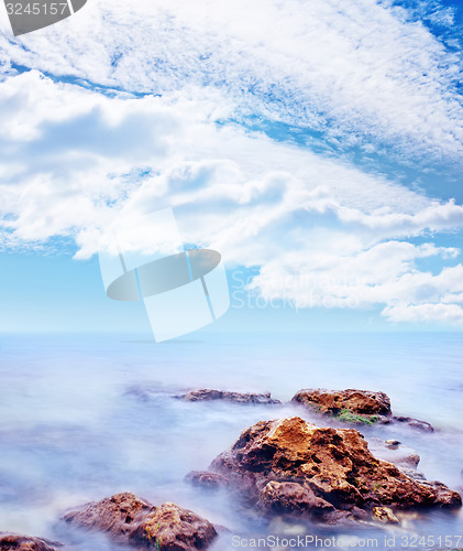 Image of nature
