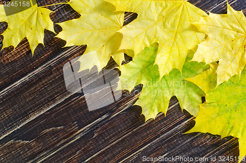 Image of yellow leaves