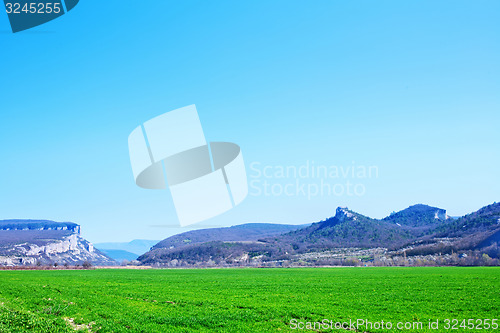 Image of grass and sky