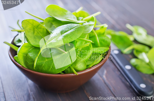 Image of fresh spinach