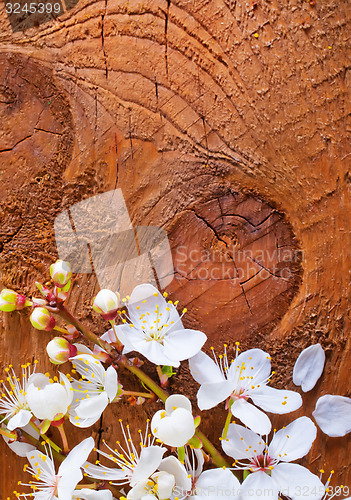 Image of background