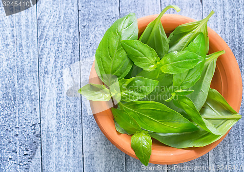 Image of fresh basil