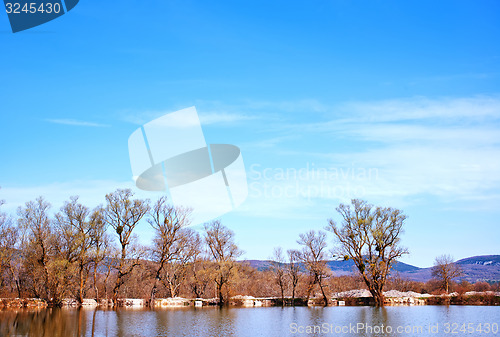 Image of nature