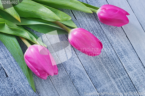 Image of tulips