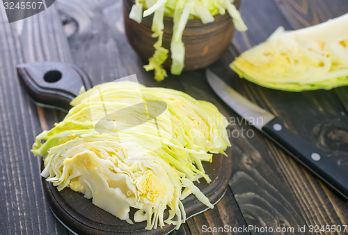 Image of cabbage