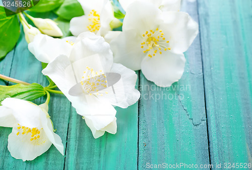 Image of flowers