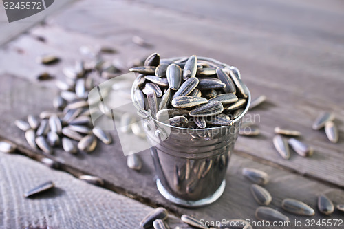 Image of sunflower seed