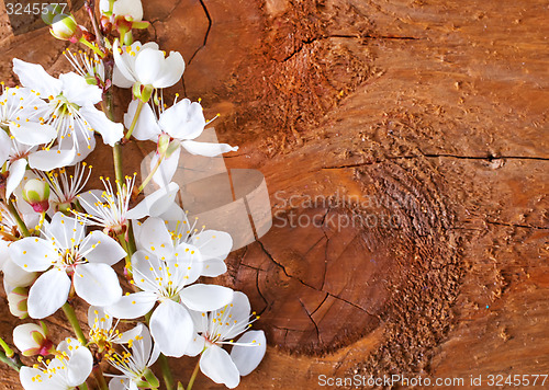 Image of flowers on wooden background
