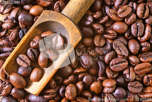 Image of coffee beans