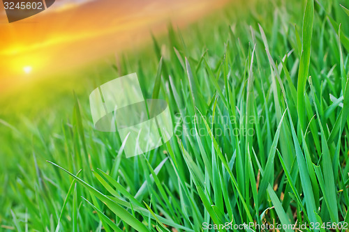 Image of nature background