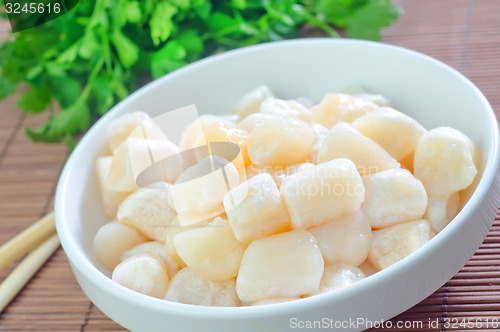 Image of scallop