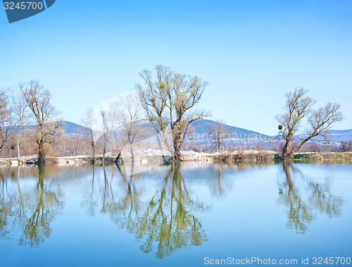 Image of nature
