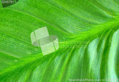 Image of background