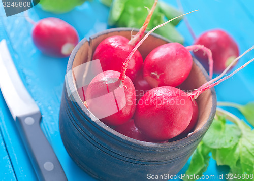 Image of radish