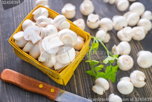 Image of mushrooms