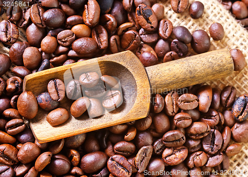 Image of coffee beans