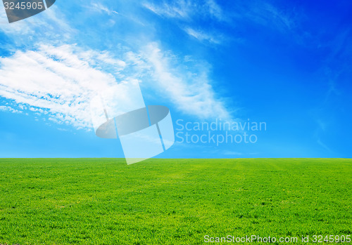 Image of grass and sky