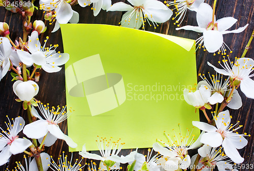 Image of flowers and paper on wooden background