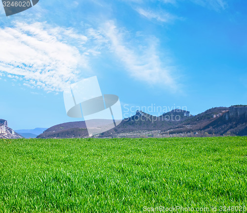 Image of grass and sky