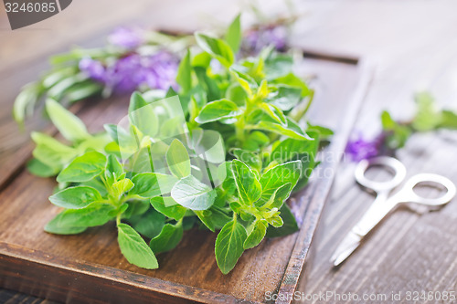 Image of aroma herbs