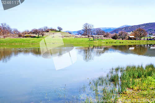 Image of nature