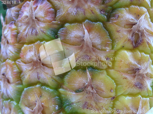 Image of pineapple skin detail