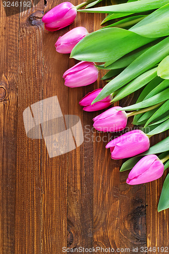 Image of tulips