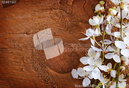 Image of flowers on wooden background