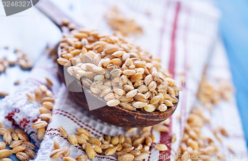Image of wheat