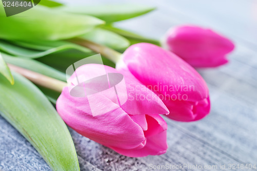 Image of tulips