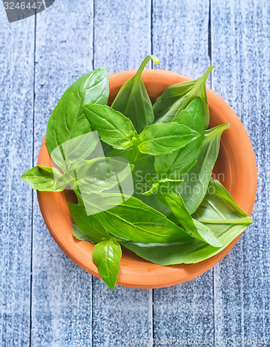 Image of fresh basil