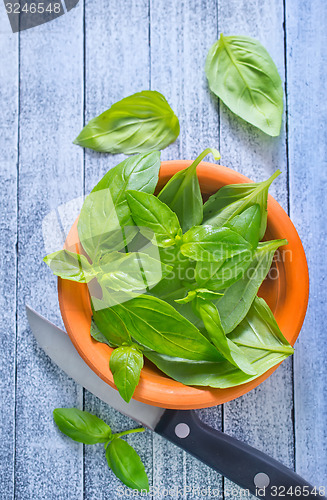 Image of fresh basil