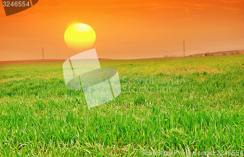 Image of nature background