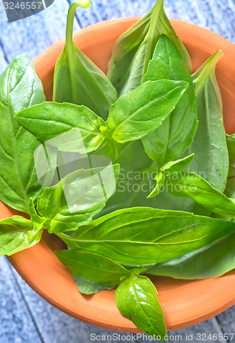 Image of fresh basil