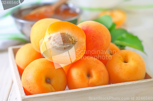 Image of fresh apricots and gam