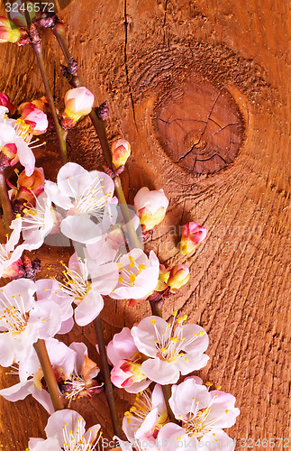 Image of background