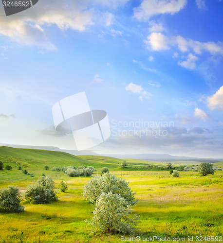 Image of nature background