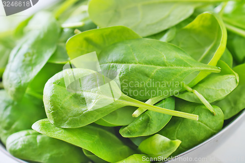 Image of spinach