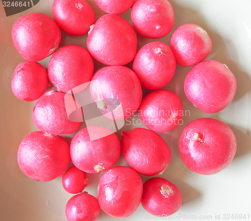 Image of Radish vegetable 