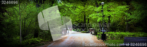 Image of Park in spring time