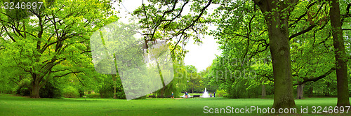 Image of Park in spring time