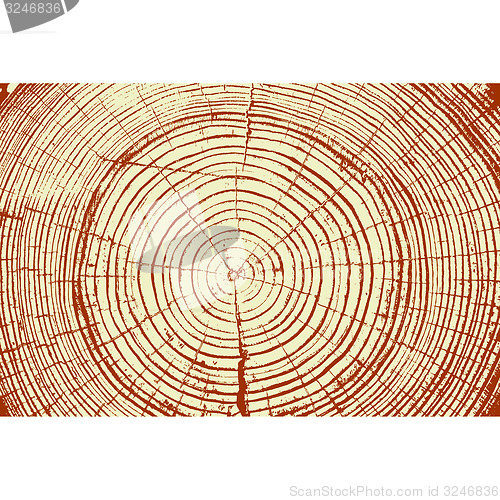 Image of Tree rings saw cut tree trunk background. illustration.