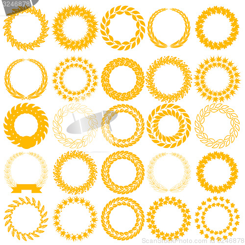 Image of Set  yellow laurel wreath on the white background. 