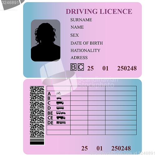 Image of Driving license woman. illustration.