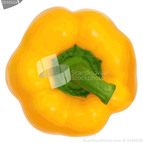 Image of Yellow sweet  bell pepper isolated on white background. 
