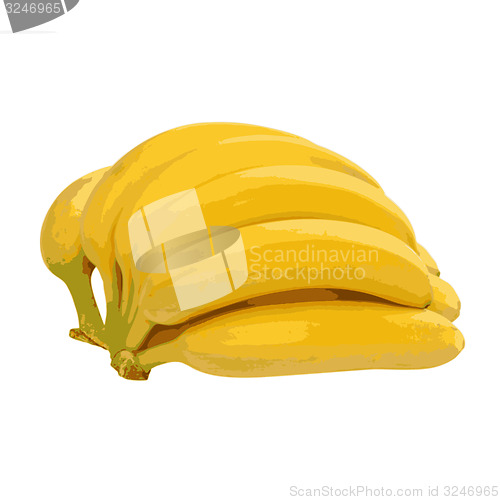 Image of Bunch of bananas isolated on white background. illustrati