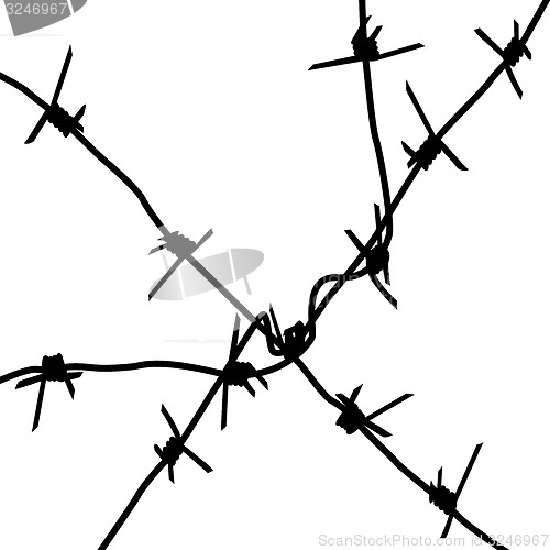 Image of Silhouette barbed wires on a white background. 