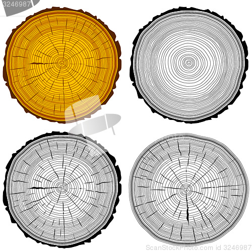 Image of Set tree rings saw cut tree trunk background. 